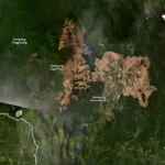 Citra satelit penampakan pembukaan tutupan hutan seluas 14 hektare di kawasan hutan lindung Kecamatan Sultan Daulat, Subulussalam. Foto: Dok HAkA