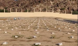 Makbarah Syuhada Syaraya. Foto: duyufurrahman.com