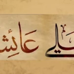 Ilustrasi Ali dan Aisyah