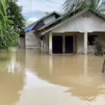 Rumah warga di Desa Alue Tho, Kecamatan Matang Kuli, Aceh Utara, terendam banjir dengan ketinggian air 70 cm lebih, Jumat, 4 Oktober 2024. Foto: Line1.News/Fajar