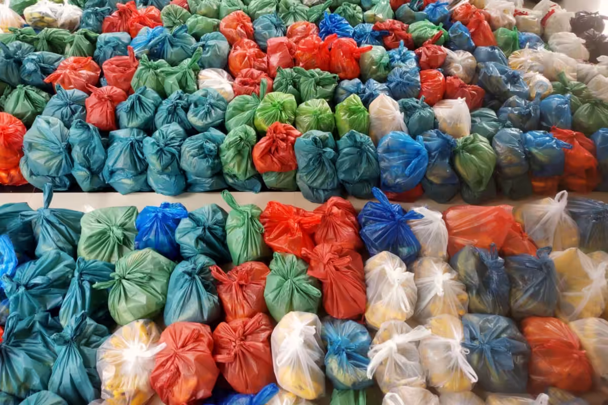 WhatsApp Image 2024 10 06 at 13.50.32