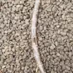 biji kopi Arabika Gayo greenbean grade A (kanan). Kopi asalan yang masih ada sampah dan biji rusak (kanan). Foto: Line1.News/Fbp