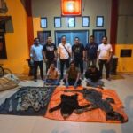 penjual kulit harimau