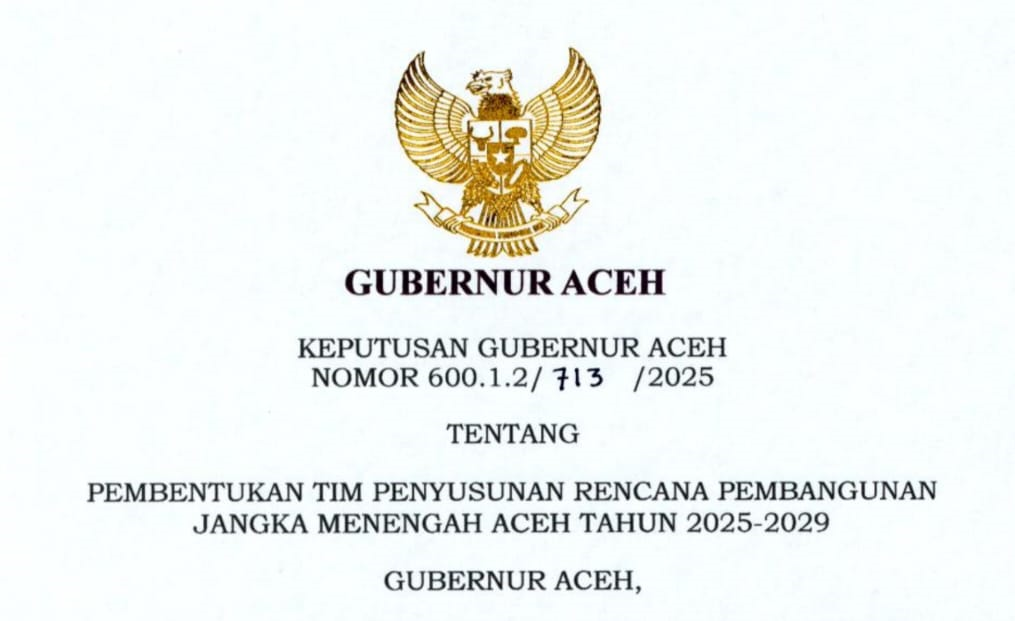 SK Gubernur Aceh Tim RPJMA 2025 2029