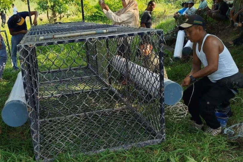 Penyiapan perangkap buaya