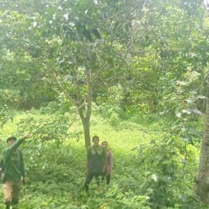 Warga menunjukkan tanaman yang mereka tanam di lahan tersebut