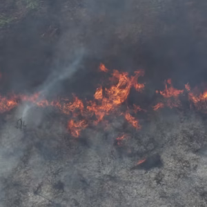 Salah satu titik api yang ditemukan HAkA di area PT ALIS