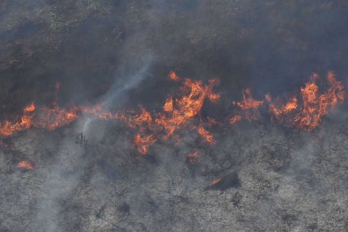 Salah satu titik api yang ditemukan HAkA di area PT ALIS