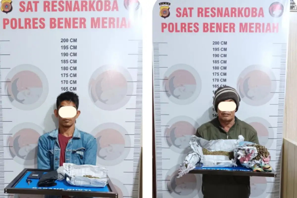 AA dan H, dua pengedar ganja yang digaruk Tim Satresnarkoba Polres Bener meriah