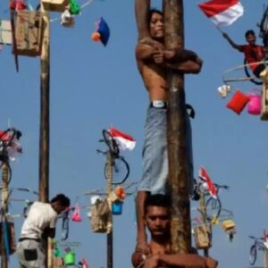 Lomba panjat pinang HUT RI