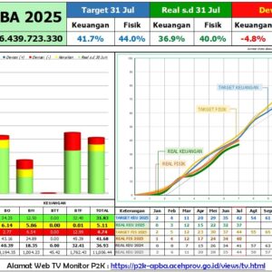 Realisasi keuangan APBA 2025 per 31 Juli