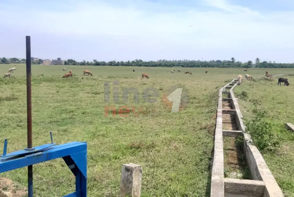 Kondisi sawah Blang Majron