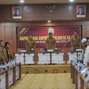 Mualem pimpin raker kepala daerah di Aceh