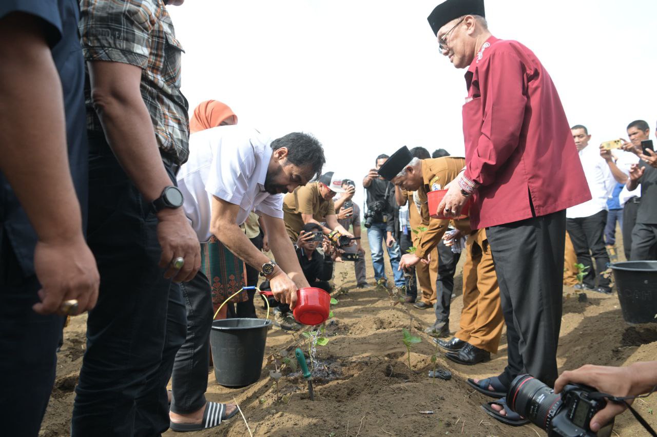 Mualem tanam capai di bener meriah