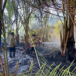 Petugas memadamkan api yang membakar lahan di Aceh Besar