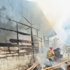 Petugas memadamkan api