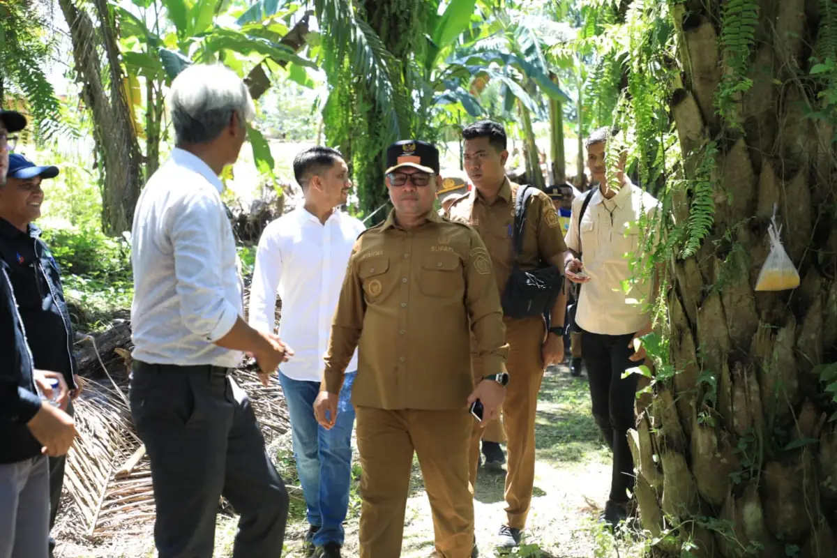 peninjauan proyek aceh utara5
