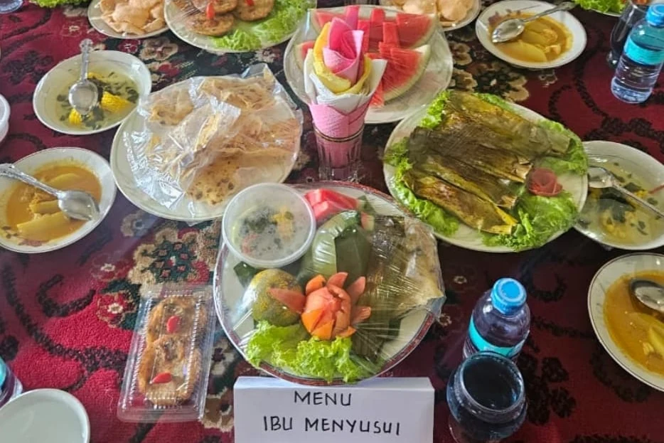 Menu ibu menyusui