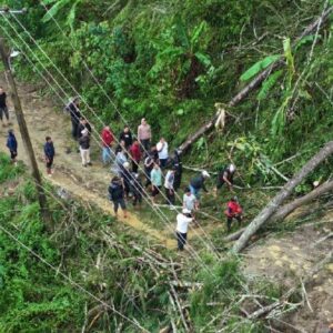 Pohon tumbang dan tanah longsor di Aceh Tengah