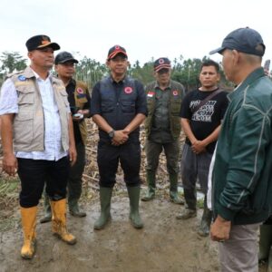 Ayahwa dampingi Kepala BNPB tinjau dampak banjir Langkahan