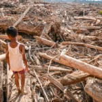 Batang kayu menumpuk pascabanjir Aceh Tamiang