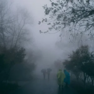 Ilustrasi hujan ringan disertai kabut