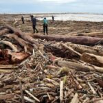 Pantai Air Tawar dipenuhi kayu pascabanjir