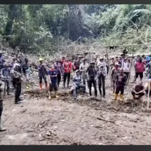 Warga Tangse menemukan kamp bekas pekerja tambang emas ilegal