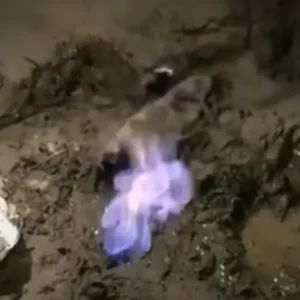 Gelembung gas di Nagan Raya