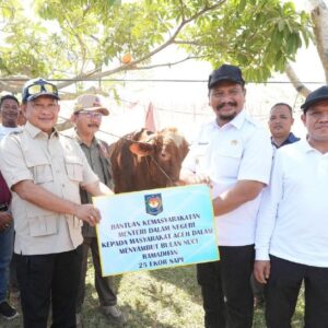 Penyerahan sapi meugang bantuan Prabowo