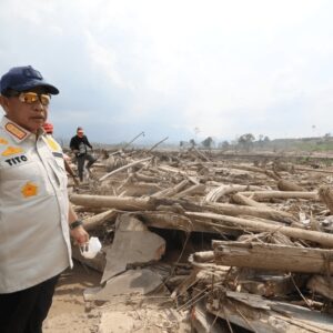 Kayu hanyutan banjir di Aceh