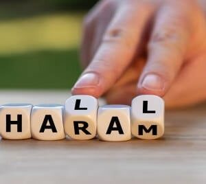 Ilustrasi halal dan haram food