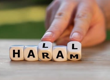 Ilustrasi halal dan haram food